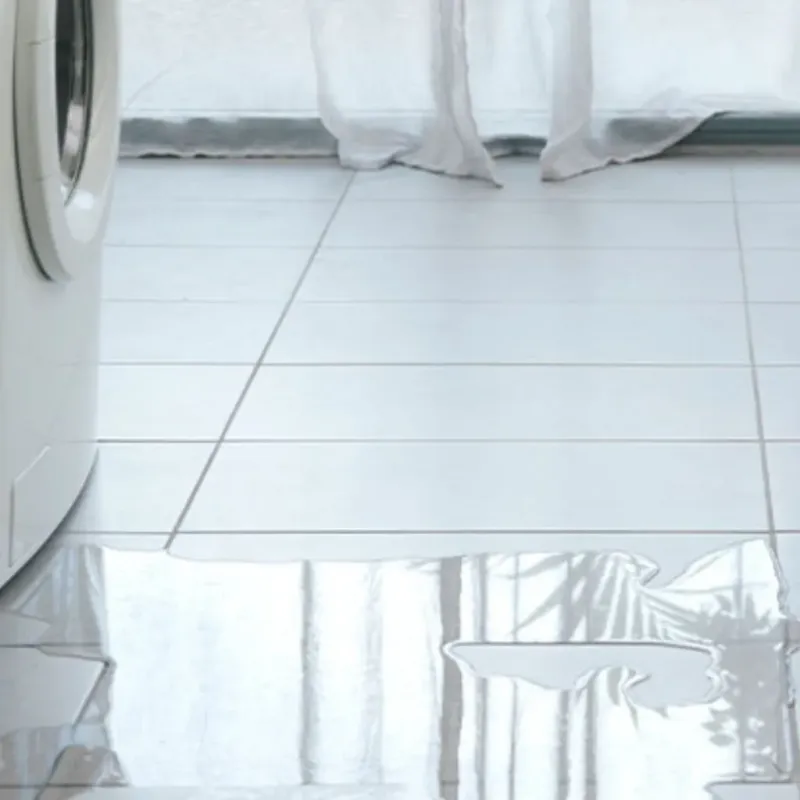 Appliance Leak Cleanup in Raymond, NH