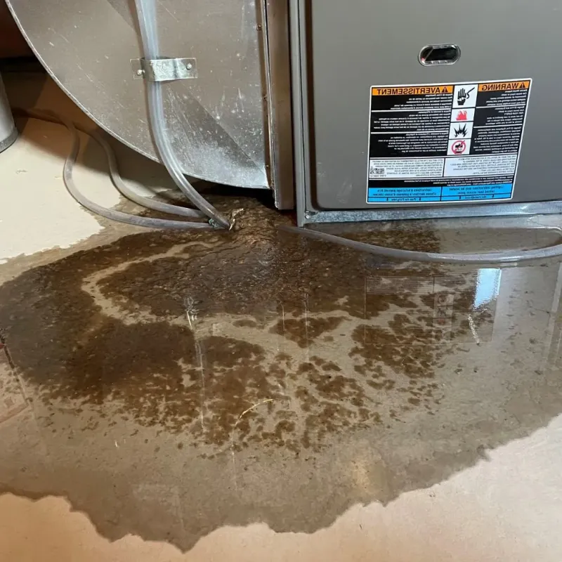 Pipe Burst and Leak Restoration in Raymond, NH